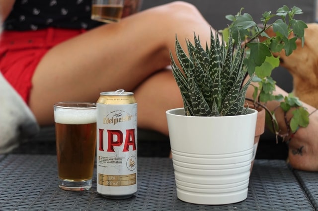 14 of the Best Wedding Registry Gifts for Beer Lovers, a girl with an IPA in front of her on the table.