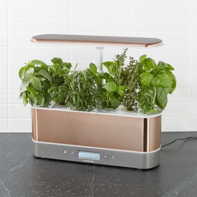 9 Eco-Friendly Gifts to Add to Your Wedding Registry, Indoor herb garden