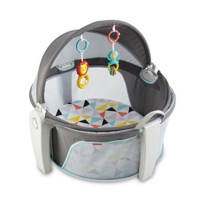 10​ Not-So-Obvious ​Things Every New Mom Needs, Fisher-Price On the Go Baby Dome from buybuy BABY