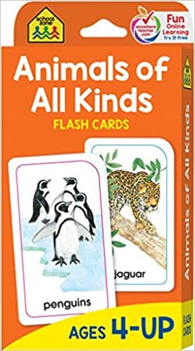 Savannah Walsh’s Secret to Calmly Feeding Your Newborn When You Have a Toddler Too, Animals Of All Kinds Flash Cards from Amazon