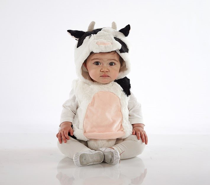 Baby Cow | Pottery Barn Kids