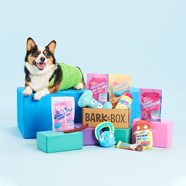 Dog Toy/Treat Box Subscription | BarkBox