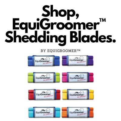 EquiGroomer™ – Girl With The Dogs