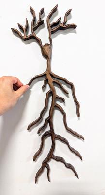 Hippocampal Neuron Walnut by LJ Pilaz | NeuroWoodworks