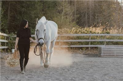 Riding Programs — A&T Equestrian