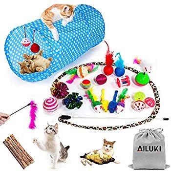 AmazonSmile : AILUKI 26PCS Cat Toys Kitten Toys Assortments, Variety Catnip Toy Set Including 2 Way Tunnel, Cat Feather Teaser, Catnip Fish, Mice, Col
