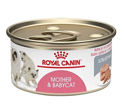 Amazon.com : Royal Canin Feline Health Nutrition Mother & Babycat 1st Stage Easy Start Ultra Soft Mousse Canned Cat & Kitten Food, 3 Ounce Can (Pack o