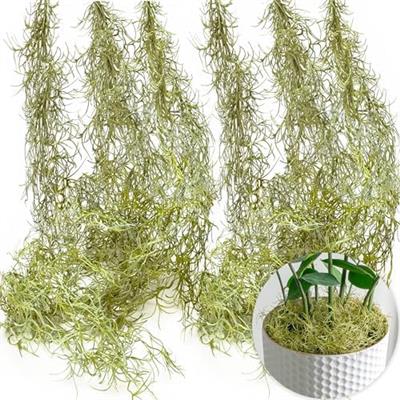 Amazon.com: SEEKO Succulents Spanish Moss, Fake Moss for Artificial Hanging Plants - Moss for Plants - (6pck, 6oz, 33 Long) - Moss Décor Hanging Vines