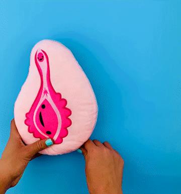 Vagina Vulva Plush Zip Pouch - Hooray For The Va-Jay-Jay Plushie | I Heart Guts