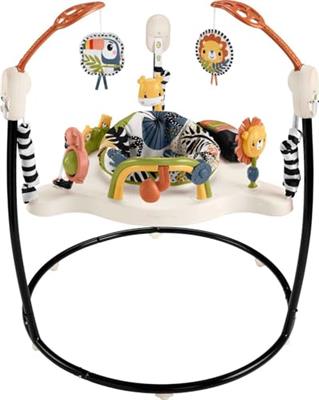 Fisher-Price Baby Bouncer Palm Paradise Jumperoo Activity Center with Music Lights Sounds and Developmental Toys​