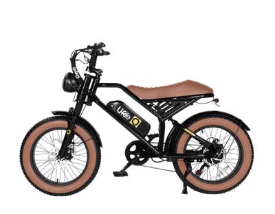 Spark 20x4.0 Moped-Style E-Bike – Qlife Bike