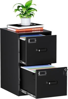 2 Drawer Filing Cabinet with Lock, Metal Vertical File Cabinets for Home Office, Lockable File Storage Cabinets Under Desk, Letter/