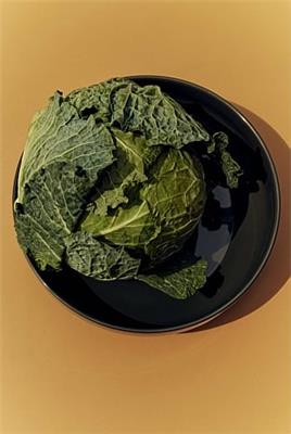 Dark Olive Dover Large Salad Bowl - Serving | Country Road