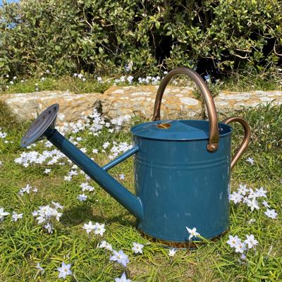 Heritage Blue & Copper Metal Watering Can (9 Litre)
 – Selections