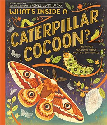 Whats Inside a Caterpillar Cocoon? And Other Questions About Moths & Butterflies by Rachel Ignotofsky - Book Outlet