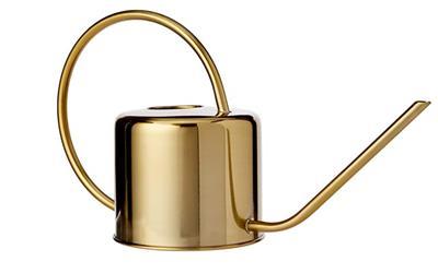 Gold Finished Stainless Steel Watering Can — Yes Chef