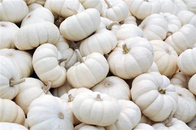 Baby Boo - Mini White Pumpkins - 1 gram
