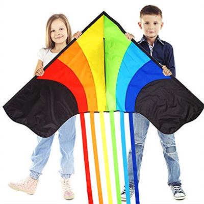 Original Rainbow Kite For Children And Adults - Very Easy To Fly Kite - Family Fun For All - Great Outdoor Toy For Beginners - Built To Last - Makes a