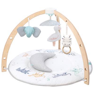 Aden   Anais Baby Play Activity Gym Mat | Best Buy Canada