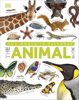 The Our World in Pictures The Animal Book: A Visual Encyclopedia of Life on Earth (DK Our World in Pictures): A Visual Animal Kingdom Encyclopedia for
