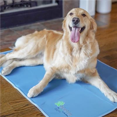 Cool Pet Pads | Pet Cooling Mat and Beds
 | Green Pet