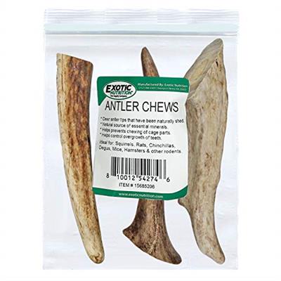 Exotic Nutrition Antler Chews - Safe Small Animal Chew - Natural Source of Healthy Minerals - Chinchilla, Hamster, Degu, Prairie Dog, Squirrel and Oth