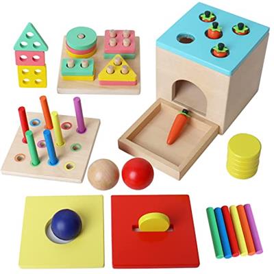 BESTAMTOY Wooden Montessori Toy for 1+ Year Old, Shape Sorter,Object Permanence Box, Coin Carrot Harvest, Toddler Learning Kid Age 1, 2, 3 Girl boy Gi