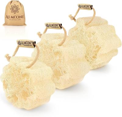 Amazon.com: ALMOONI Mini Natural Loofah Sponge, Egyptian Shower Sponge, 3 Count | Real Natural Loofah Sponge, Shower Sponge for Body, Small Body Scrub