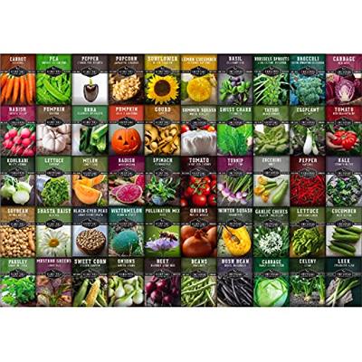 Survival Garden Heirloom Vegetable Seeds - Homesteader 50 Pack Non-GMO Seed Varieties for Planting - Home Garden Vegetables, Fruits & Herbs - Plant &