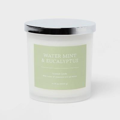 Water Mint And Eucalyptus Candle: Target