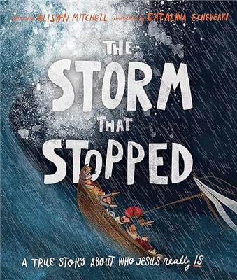 The Storm That Stopped (Tales That Tell the Truth): Alison Mitchell, Catalina Echeverri, Catalina Echeverri: 9781910307960: Amazon.com: Books