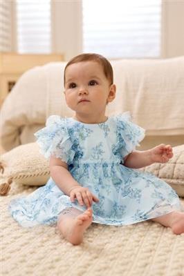 Buy Blue Floral Baby Party Frill Sleeve Dress (0mths-2yrs) from the Next UK online shop