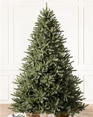 Classic Blue Spruce® Christmas Trees | Balsam Hill
