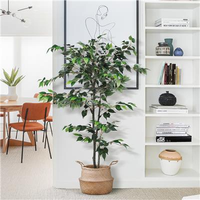 Banyan Artificial Plant Green Faux Tree for Indoor Decoration