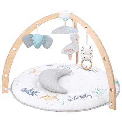 Aden + Anais Baby Play Activity Gym Mat | Best Buy Canada