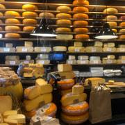 Gouda, Witches & Cheese Tour - 2026 (Verified Reviews)
