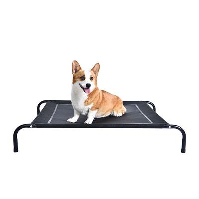 All Day Rio Raised Dog Bed Petbarn