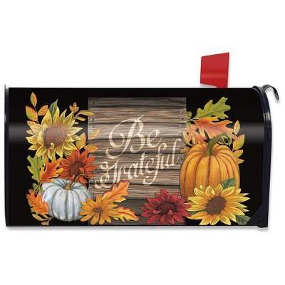 Briarwood Lane Be Grateful Autumn Magnetic Mailbox Cover Thanksgiving Floral Fall Standard : Target