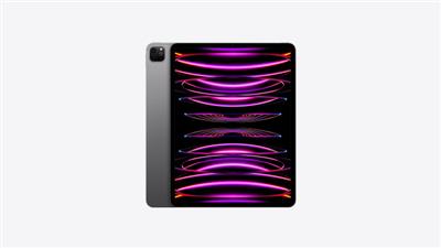 Buy 12.9-inch iPad Pro Wi-Fi 256GB - Space Gray - Apple