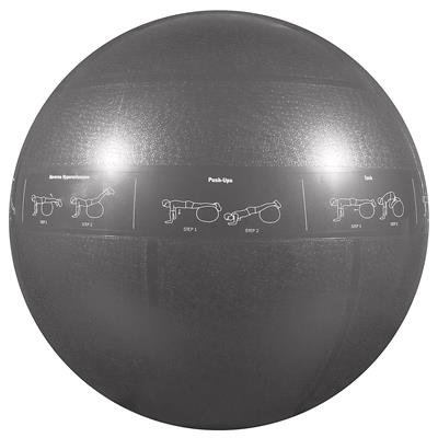 GoFit Adults 75 cm Professional Grade Stability Ball | Academy
