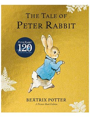 Penguin the Tale Of Peter Rabbit Picture Book | David Jones