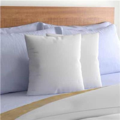 Wayfair Basics® Didomenico Euro Square Pillow Insert & Reviews | Wayfair
