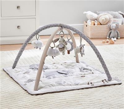 Animal Friends Classic Activity Gym