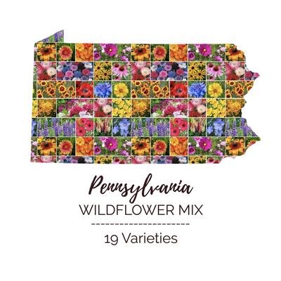 Pennsylvania Wildflower Seed Mix | Eden Brothers