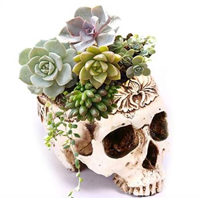 Simcat Resin Skull Planter Flower Succulents Pot Carved Skeleton Flowerpot Sugar Cactus Planter Pots Holder Candy Bowl Halloween Statue Sculpture Skel