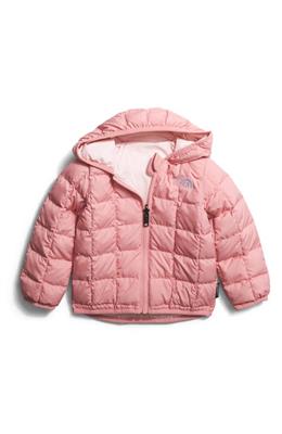 The North Face Reversible ThermoBall Hooded Jacket in Shady Rose at Nordstrom, Size 0-3M