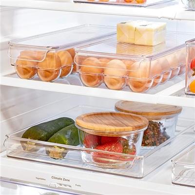 Amazon.com: iDesign Plastic Egg Holder for Refrigerator with Handle and Lid, Fridge Storage Organizer for Kitchen, Set of 1, Clear : Home & Kitchen