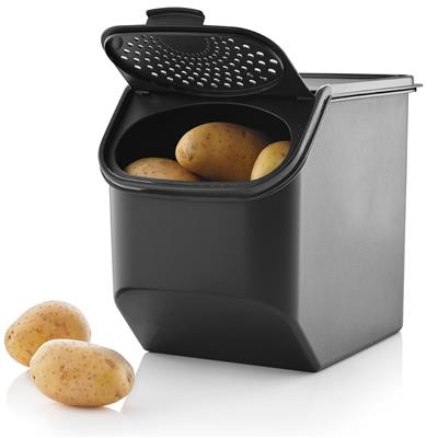 Potato Smart™ Container | Tupperware CA