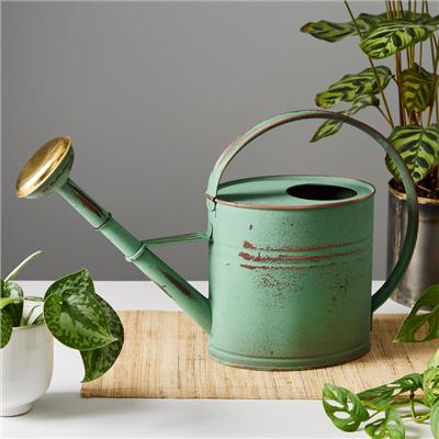 Antiqued 4-Quart Copper Plated Watering Can