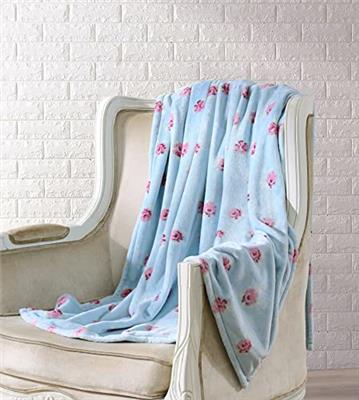 Shabby Chic® - Throw Blanket, Super Soft & Plush Bedding, Vintage-Inspired Home Decor (Abby Ditsy Aqua)